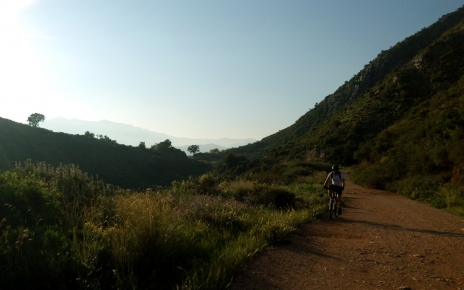 Sierra Blanca, Marbella